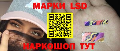 скорость Бердск