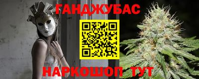 скорость Бердск