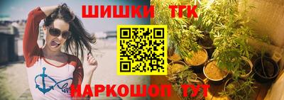 скорость Бердск