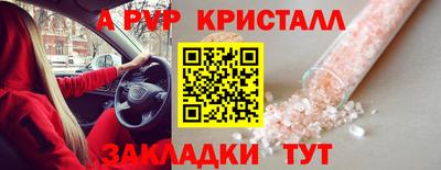 скорость Бердск